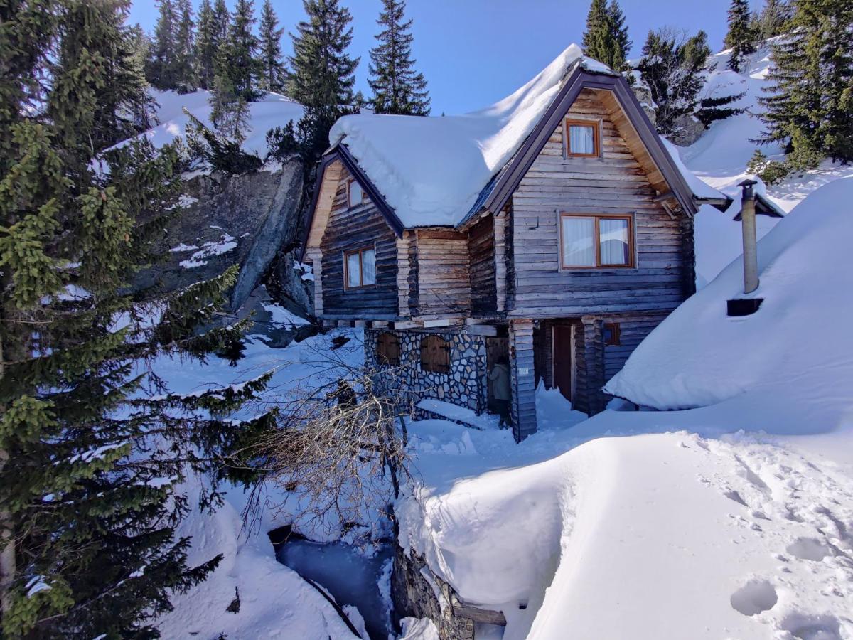 Prokosko Resort 포지니카 외부 사진